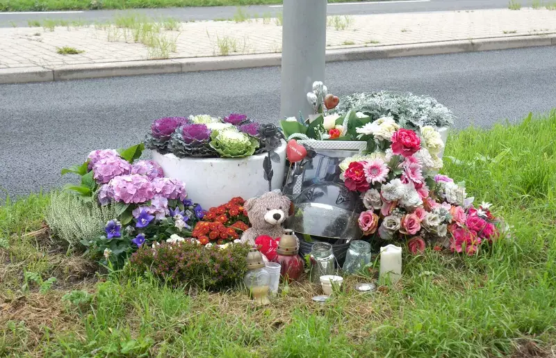 Roadside Memorials Around the World: Love, Loss and the Fight for Space image by Solace & More 