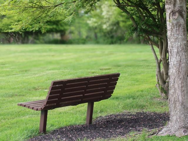 Breaking the Silence: Understanding and Overcoming Inhibited Grief image by Solace & More 