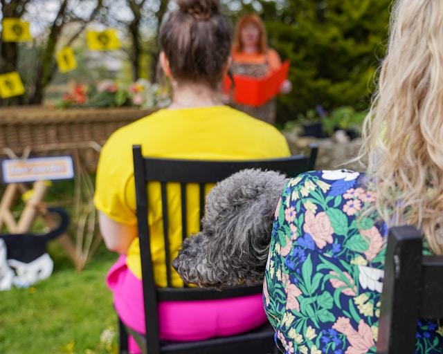  image by solace and support