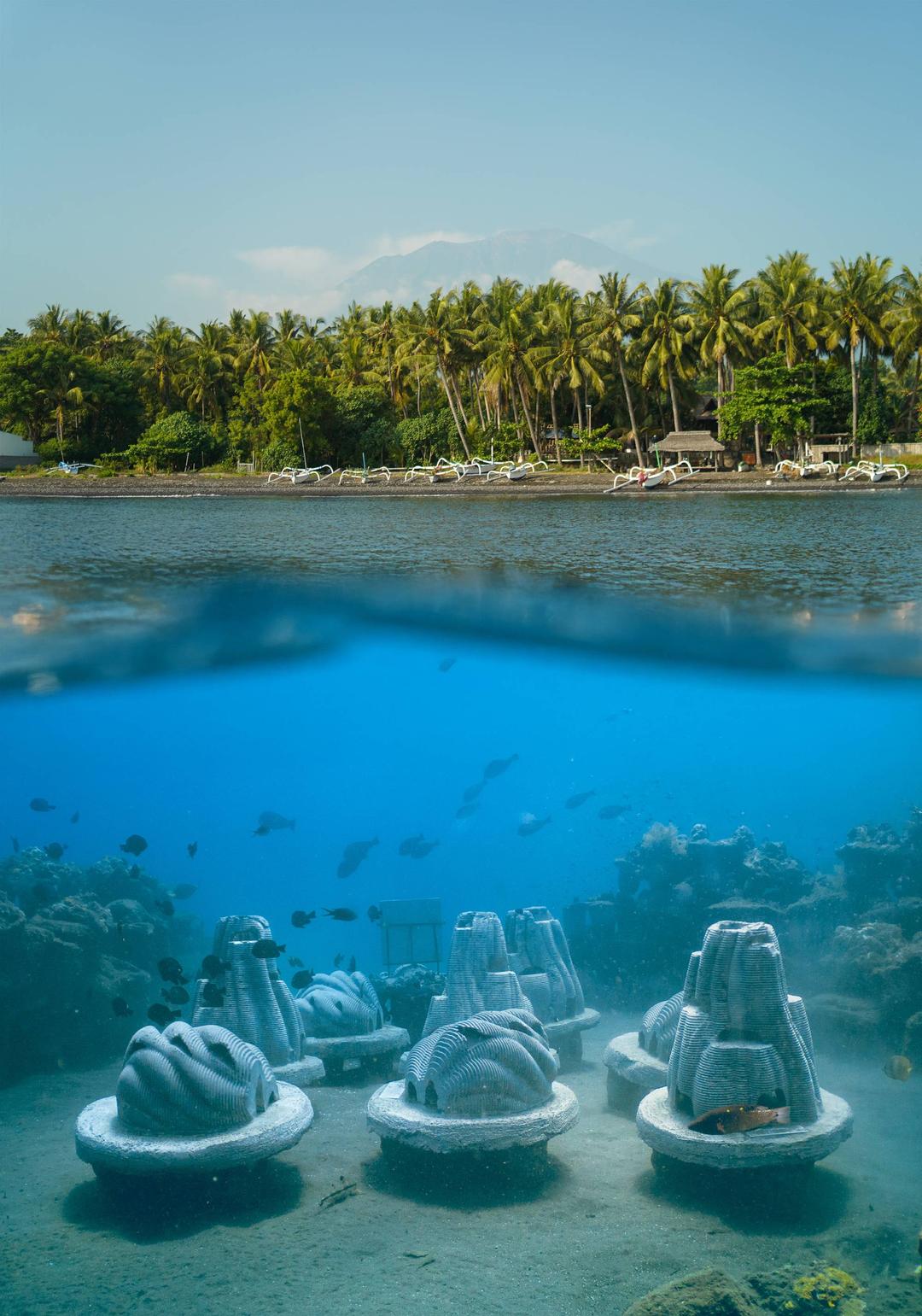 image by solace and support