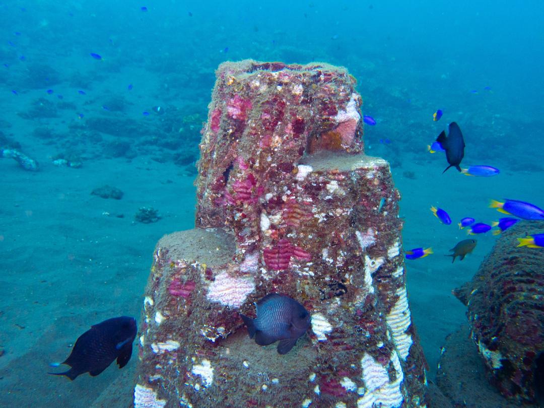 image by solace and support