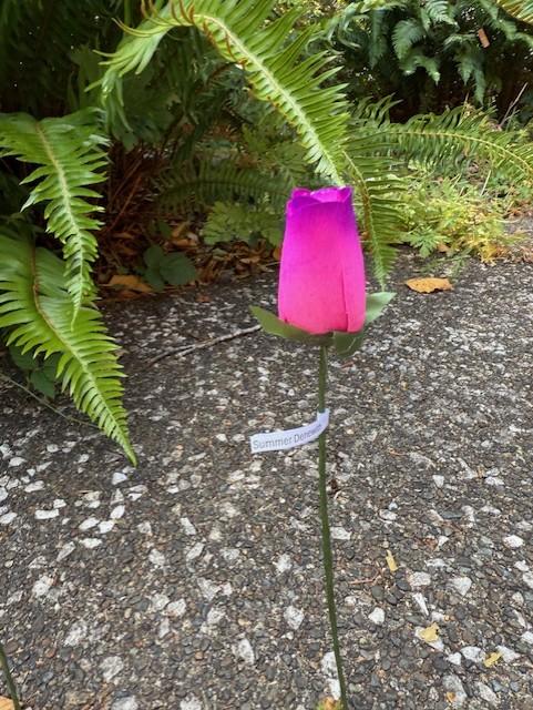 image by solace and support