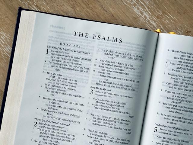 The Ultimate Guide To Comforting Psalms For Funerals & Memorials image by Solace & More 